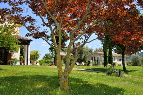 Immagine del giardino con alberi